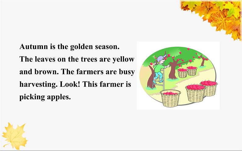 六年级上册英语课件-Unit 6   There are four seasons in a year. Lesson 35  人教精通版05