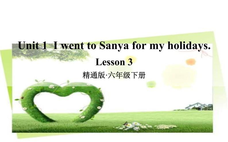 六年级下册英语课件-Unit 1  I went to Sanya for my holidays. Lesson 3 人教精通版01