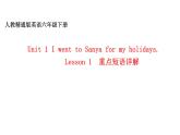 六年级下册英语课件-Unit 1  I went to Sanya for my holidays. Lesson 1   人教精通版