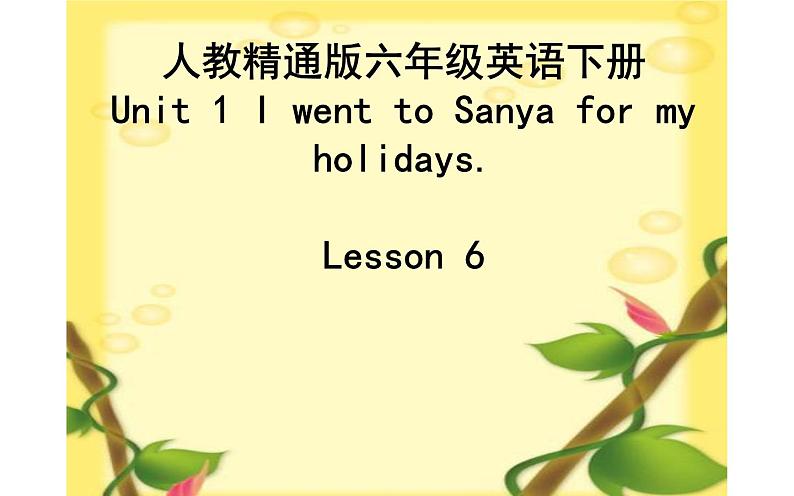 六年级下册英语课件-Unit 1  I went to Sanya for my holidays. Lesson 6 人教精通版01