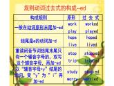 六年级下册英语课件-Unit 1  I went to Sanya for my holidays.  Lesson 1 人教精通版