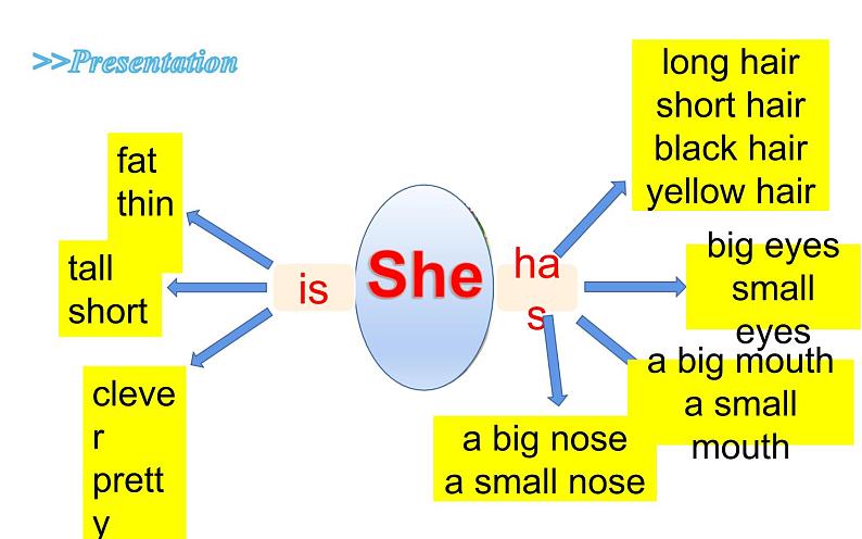 五年级上册英语课件-Unit2 She looks cute.  Lesson 7   人教精通版06