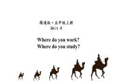 五年级上册英语课件-Unit 4 Where do you work？ 人教精通版.