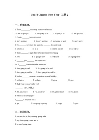 英语六年级上册Unit 8 Chinese New Year优秀课堂检测