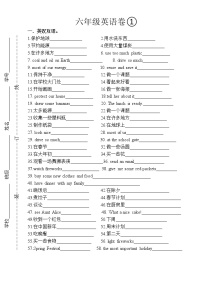 小学英语Unit 8 Chinese New Year精品巩固练习