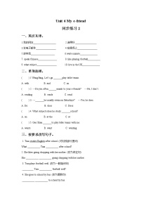 小学新版-牛津译林版Unit 6 My e-friend精品同步达标检测题