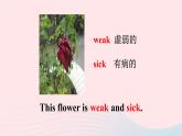 【精品】冀教版 六年級英語下冊Unit2GoodHealthtoYouLesson7AlwaysHavebreakfast課件2