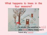 【精品】冀教版 六年级英语下册Unit3WhatWillYouDoThisSummerLesson13Summeriscoming课件1