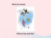 【精品】冀教版 六年级英语下册Unit3WhatWillYouDoThisSummerLesson18ThreeKitesintheSky课件