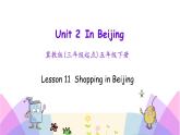 Unit 2 Lesson 11 Shopping in Beijing 课件+素材