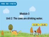 Module 3 Unit2 The cows are drinking water 课件+素材