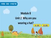Module 8 Unit2 Why are you wearing a hat 课件+素材
