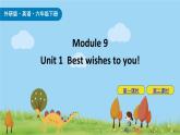 Module 9 Unit1 Best wishes to you 课件+素材