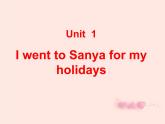 六年级下册英语课件-Unit 1 I went Sanya for my holidays Lesson 3  人教精通版