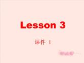 六年级下册英语课件-Unit 1 I went Sanya for my holidays Lesson 3  人教精通版