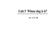 五年级英语下册pep教学课件ppt +素材Unit 5  Whose dog is it 第四课时