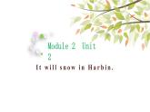 英語外研版六年級下冊Module 2 Unit 2 It will snow in Harbin. ppt