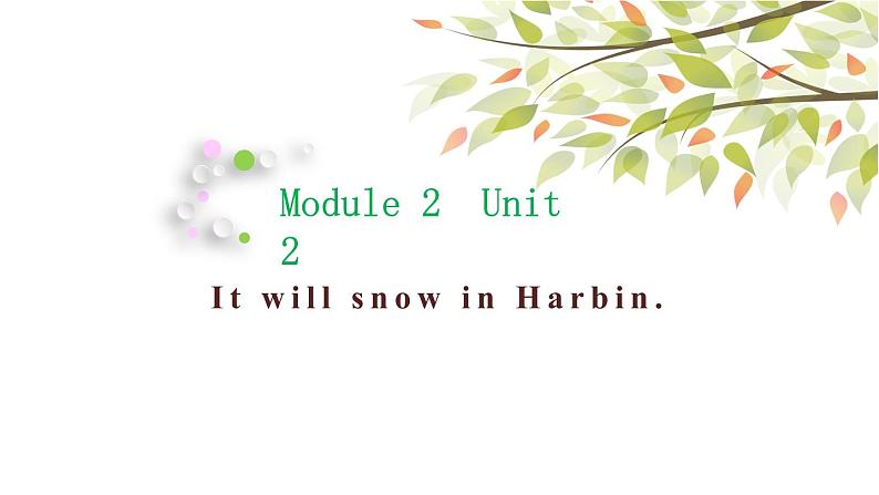 英语外研版六年级下册Module 2 Unit 2 It will snow in Harbin. ppt01