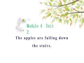 英语外研版六年级下册Module 4 Unit 2 The apples are falling down the stairs 课件