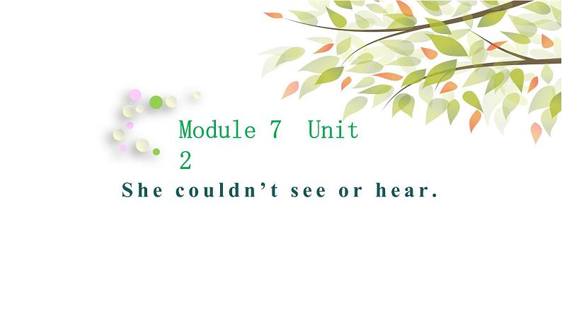 英语外研版六年级下册Module 7 Unit 2 She couldn't see or hear 课件01