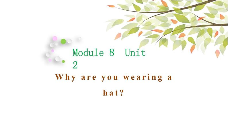 英语外研版六年级下册Module 8 Unit 2 Why are you wearing a hat 课件01