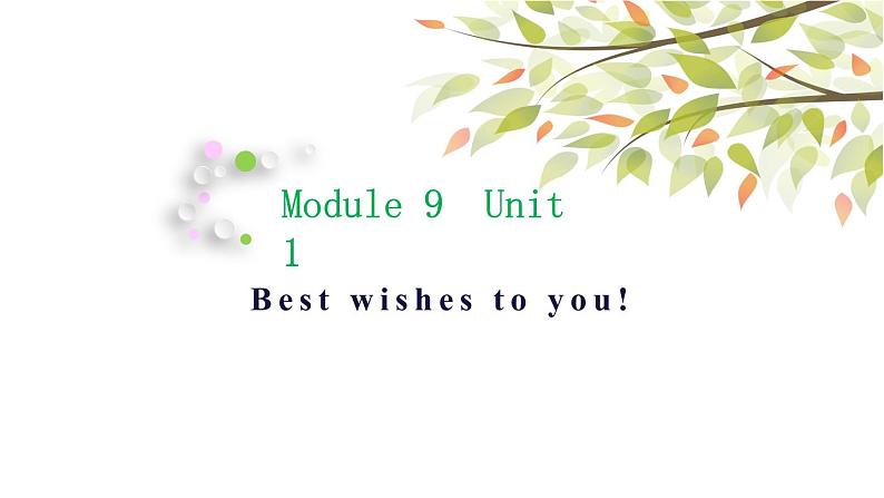 英语外研版六年级下册Module 9 Unit 1 Best wishes to you 课件01