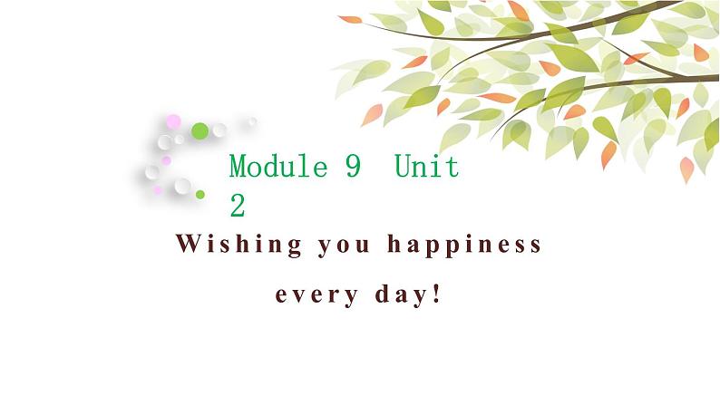 英语外研版六年级下册Module 9 Unit 2 Wishing you happiness every day 课件01