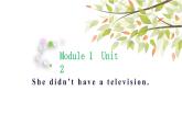英語(yǔ)外研版5年級(jí)下冊(cè)Module 1 Unit 2 She didn't have a television 課件