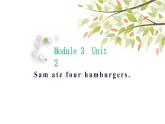 英語外研版5年級下冊Module 3 Unit 2 Sam ate four hamburgers 課件