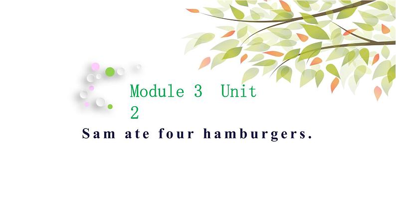 英语外研版5年级下册Module 3 Unit 2 Sam ate four hamburgers 课件01