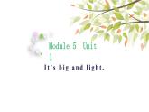 英语外研版5年级下册Module 5 Unit 1 It's big and light 课件