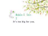 英语外研版5年级下册Module 5 Unit 2 It's too big for you 课件