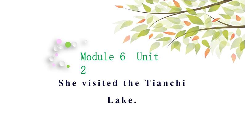 英语外研版5年级下册Module 6 Unit 2 She visited the Tianchi Lake 课件01