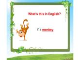 四年級(jí)下冊(cè)英語(yǔ)課件-Unit 6 Would  you  like  to take a  trip ？Lesson 32  人教精通版