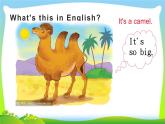 四年級(jí)下冊(cè)英語(yǔ)課件-Unit 6 Would  you  like  to take a  trip ？Lesson  32  人教精通版