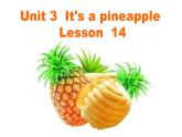 四年级上册英语课件-Unit3 It's a pineapple.  Lesson 14 人教精通版