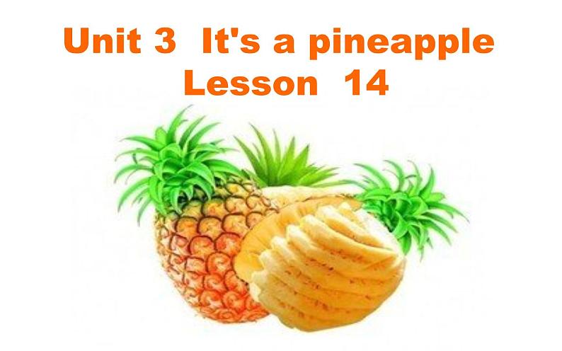 四年级上册英语课件-Unit3 It's a pineapple.  Lesson 14 人教精通版01