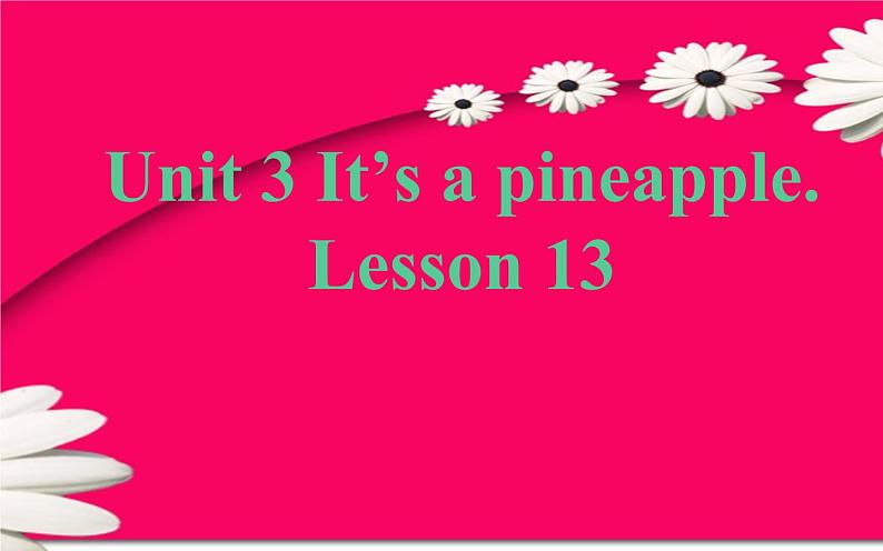 四年级上册英语课件-Unit3 It's a pineapple.  Lesson 13人教精通版01