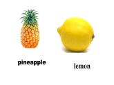 四年级上册英语课件-Unit3 It's a pineapple.  Lesson 13人教精通版