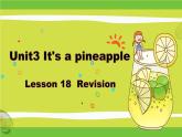 四年级上册英语课件-Unit3 It's a pineapple.  Lesson 18 人教精通版