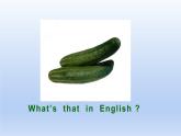 四年級(jí)上冊(cè)英語(yǔ)課件-Unit3 It's a pineapple.  Lesson 16  人教精通版
