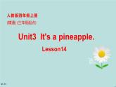 四年級(jí)上冊(cè)英語(yǔ)課件-Unit3 It's a pineapple.  Lesson 14   人教精通版