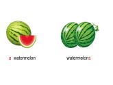 四年級(jí)上冊(cè)英語(yǔ)課件-Unit3 It's a pineapple.  Lesson 14   人教精通版