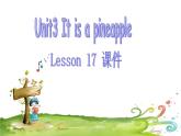 四年级上册英语课件-Unit3 It's a pineapple.  Lesson 17 人教精通版