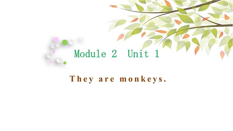 Module 2 Unit 1 They are monkeys 课件1第1页