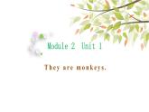 英语外研版3年级下册Module 2 Unit 1 They are monkeys 课件1