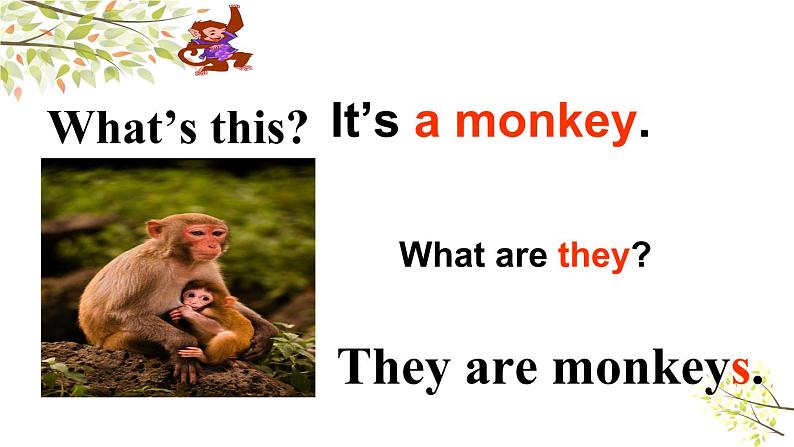 Module 2 Unit 1 They are monkeys 课件1第7页