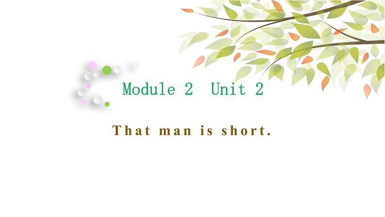 英语外研版3年级下册Module 2 Unit 2 That man is short 课件01