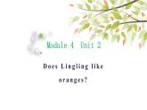 英语外研版3年级下册Module 4 Unit 2 Does Lingling like oranges 课件1