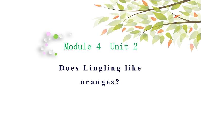 英语外研版3年级下册Module 4 Unit 2 Does Lingling like oranges 课件101